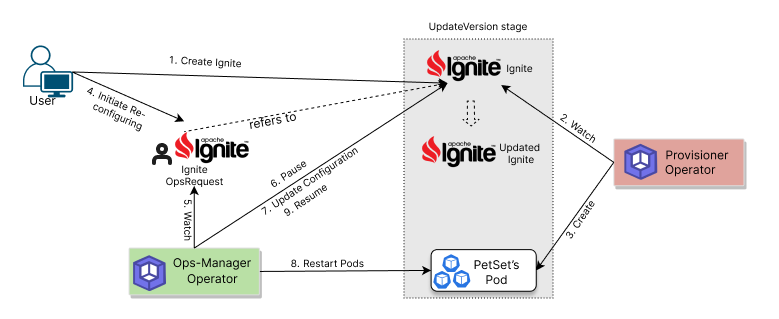 updating Process of Ignite